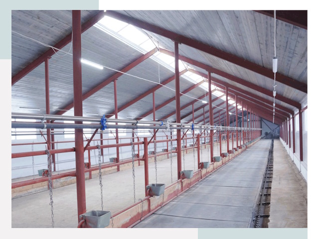 Строительство коровников в Пыти-Яхах от 610 руб.