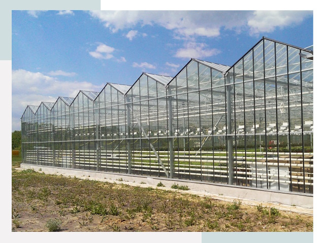 Строительство теплиц в Пыть-Ях от 610 руб. за м²