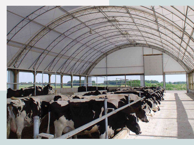 Тентовые коровники в Пыти-Яхах